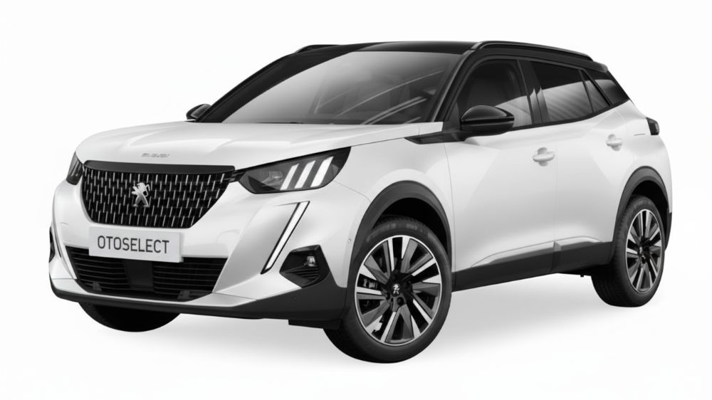 פיג'ו ACTIVE 2008